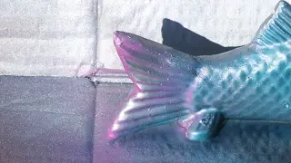 videos