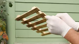 videos