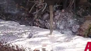 videos